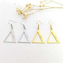 DST Stainless Steel Earrings
